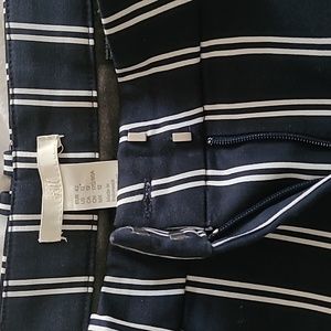 New Navy Cream Dress Pant